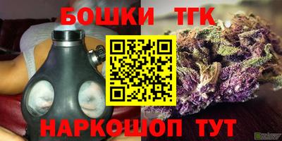 индика Ливны