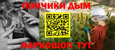 индика Ливны