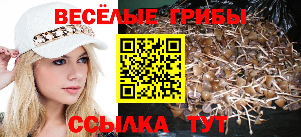 Псилоцибиновые грибы ЛСД Заводоуковск