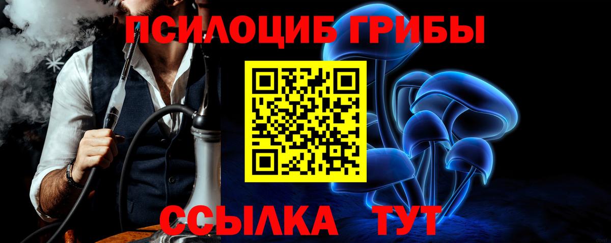 Псилоцибиновые грибы GOLDEN TEACHER  Вход с VPN  Заводоуковск 